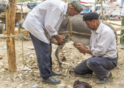 Viehmarkt Kashgar3