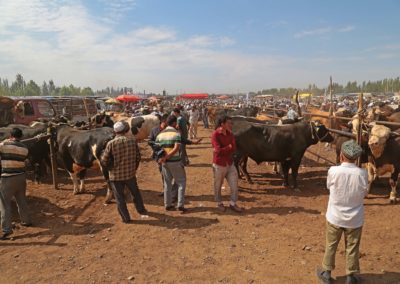 Viehmarkt Kashgar5