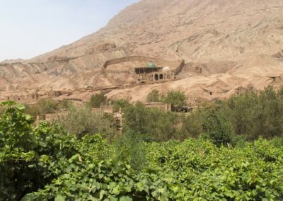 Weinanbau in der Taklamakan