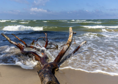 weststrand-4